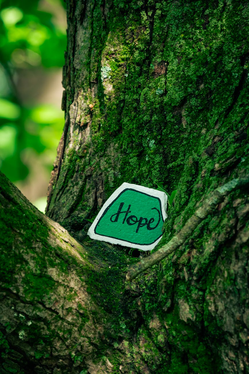 Warum wir die Hoffnung nicht verlieren&nbsp;sollten